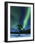 Aurora Borealis, Forramarka, Troms, Norway-Stocktrek Images-Framed Photographic Print