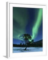 Aurora Borealis, Forramarka, Troms, Norway-Stocktrek Images-Framed Photographic Print