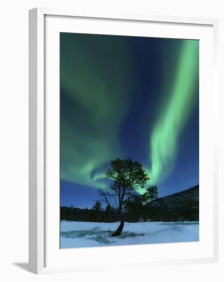 Aurora Borealis, Forramarka, Troms, Norway-Stocktrek Images-Framed Photographic Print