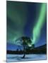 Aurora Borealis, Forramarka, Troms, Norway-Stocktrek Images-Mounted Photographic Print