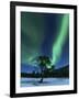 Aurora Borealis, Forramarka, Troms, Norway-Stocktrek Images-Framed Photographic Print