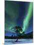 Aurora Borealis, Forramarka, Troms, Norway-Stocktrek Images-Mounted Photographic Print