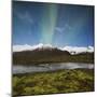 Aurora Borealis, Hafrafell, Skaftafell, South Iceland, Iceland-Rainer Mirau-Mounted Photographic Print