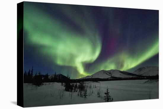 Aurora Borealis I-Larry Malvin-Stretched Canvas