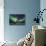 Aurora Borealis I-Larry Malvin-Photographic Print displayed on a wall