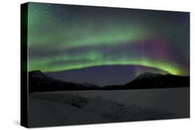 Aurora Borealis III-Larry Malvin-Stretched Canvas