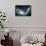 Aurora Borealis In Alaska-Chris Madeley-Framed Stretched Canvas displayed on a wall