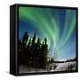 Aurora Borealis In Alaska-Chris Madeley-Framed Stretched Canvas