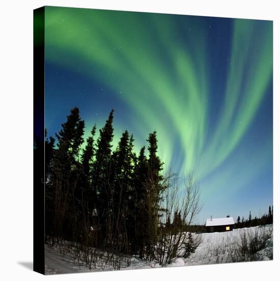 Aurora Borealis In Alaska-Chris Madeley-Stretched Canvas