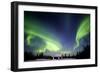 Aurora Borealis In Alaska-Chris Madeley-Framed Photographic Print