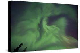 Aurora Borealis in Clear Skies, Yukon, Canda-null-Stretched Canvas