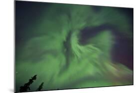 Aurora Borealis in Clear Skies, Yukon, Canda-null-Mounted Photographic Print