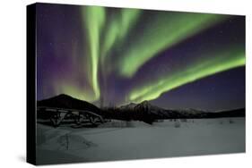 Aurora Borealis IV-Larry Malvin-Stretched Canvas