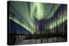 Aurora Borealis IX-Larry Malvin-Stretched Canvas