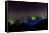 Aurora Borealis, Kantishna, Alaska-null-Framed Stretched Canvas