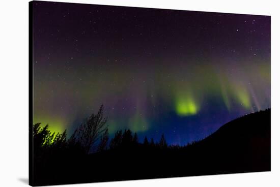 Aurora Borealis, Kantishna, Alaska-null-Stretched Canvas