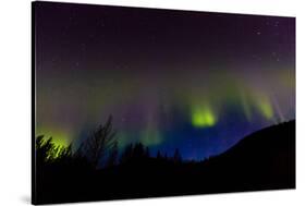 Aurora Borealis, Kantishna, Alaska-null-Stretched Canvas