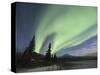 Aurora Borealis, Koyukuk River, Alaska, USA-Hugh Rose-Stretched Canvas