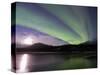 Aurora Borealis, Koyukuk River, Alaska, USA-Hugh Rose-Stretched Canvas