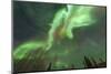 Aurora borealis, near Fairbanks, Alaska-Stuart Westmorland-Mounted Photographic Print