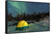 Aurora borealis, Northern Lights, and illuminated tent near Fairbanks, Alaska-Stuart Westmorland-Framed Stretched Canvas