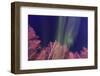 Aurora borealis, Northern Lights, near Fairbanks, Alaska-Stuart Westmorland-Framed Photographic Print