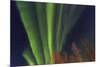 Aurora borealis, Northern Lights, near Fairbanks, Alaska-Stuart Westmorland-Mounted Photographic Print