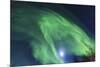 Aurora borealis, Northern Lights, near Fairbanks, Alaska-Stuart Westmorland-Mounted Premium Photographic Print