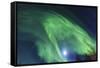 Aurora borealis, Northern Lights, near Fairbanks, Alaska-Stuart Westmorland-Framed Stretched Canvas