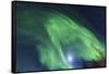 Aurora borealis, Northern Lights, near Fairbanks, Alaska-Stuart Westmorland-Framed Stretched Canvas