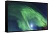 Aurora borealis, Northern Lights, near Fairbanks, Alaska-Stuart Westmorland-Framed Stretched Canvas