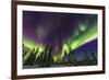 Aurora borealis, northern lights, near Fairbanks, Alaska-Stuart Westmorland-Framed Photographic Print