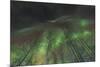 Aurora borealis, northern lights, near Fairbanks, Alaska-Stuart Westmorland-Mounted Premium Photographic Print