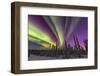 Aurora borealis, northern lights, near Fairbanks, Alaska-Stuart Westmorland-Framed Premium Photographic Print