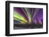 Aurora borealis, northern lights, near Fairbanks, Alaska-Stuart Westmorland-Framed Premium Photographic Print