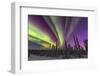 Aurora borealis, northern lights, near Fairbanks, Alaska-Stuart Westmorland-Framed Premium Photographic Print