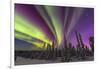 Aurora borealis, northern lights, near Fairbanks, Alaska-Stuart Westmorland-Framed Photographic Print