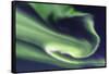 Aurora borealis, Northern Lights, near Fairbanks, Alaska-Stuart Westmorland-Framed Stretched Canvas