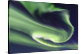 Aurora borealis, Northern Lights, near Fairbanks, Alaska-Stuart Westmorland-Stretched Canvas