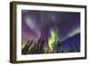 Aurora borealis, Northern Lights, near Fairbanks, Alaska-Stuart Westmorland-Framed Photographic Print