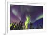 Aurora borealis, Northern Lights, near Fairbanks, Alaska-Stuart Westmorland-Framed Photographic Print