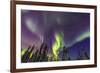 Aurora borealis, Northern Lights, near Fairbanks, Alaska-Stuart Westmorland-Framed Photographic Print