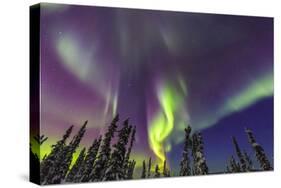 Aurora borealis, Northern Lights, near Fairbanks, Alaska-Stuart Westmorland-Stretched Canvas