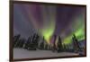 Aurora borealis, Northern Lights, near Fairbanks, Alaska-Stuart Westmorland-Framed Photographic Print