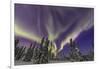 Aurora borealis, Northern Lights, near Fairbanks, Alaska-Stuart Westmorland-Framed Photographic Print