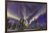 Aurora borealis, Northern Lights, near Fairbanks, Alaska-Stuart Westmorland-Framed Photographic Print