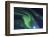 Aurora borealis, Northern Lights, near Fairbanks, Alaska-Stuart Westmorland-Framed Photographic Print