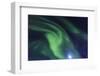 Aurora borealis, Northern Lights, near Fairbanks, Alaska-Stuart Westmorland-Framed Photographic Print