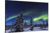 Aurora borealis, Northern Lights near Fairbanks, Alaska-Stuart Westmorland-Stretched Canvas