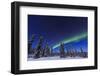 Aurora borealis, Northern Lights near Fairbanks, Alaska-Stuart Westmorland-Framed Photographic Print